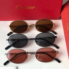 Carries SUNGLASSES UNISEX MODEL