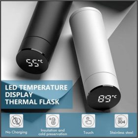 Temperature Display Water Bottle