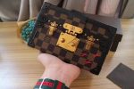 Louis vuitton Trunk