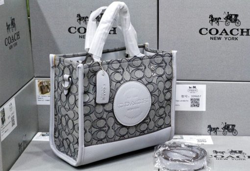 COACH Luxury Bag