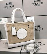 COACH Luxury Bag