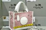 COACH Luxury Bag